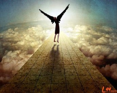 628e24c948f95.png 01.png